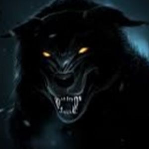 Meet your Posher, Abdullah